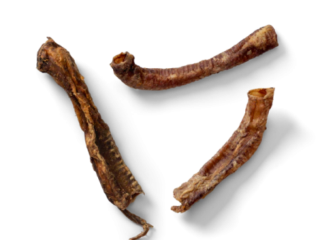 Lamb Trachea 200g Online