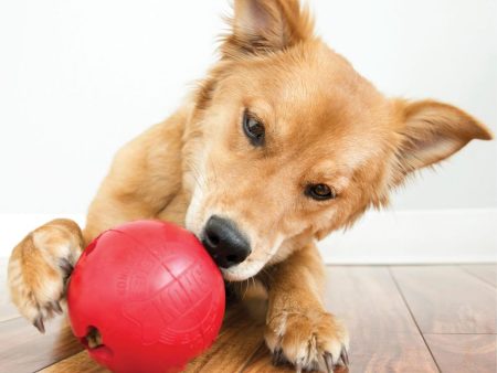 Kong Biscuit Ball on Sale