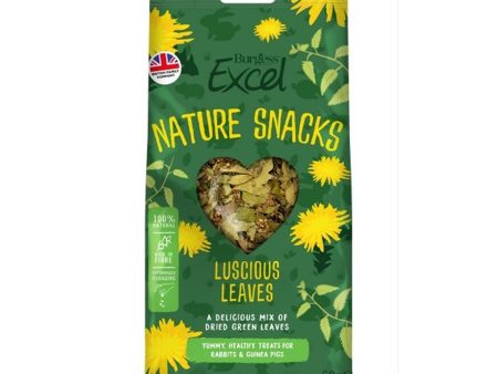 Burgess Excel Luscious Leaves 60g For Cheap