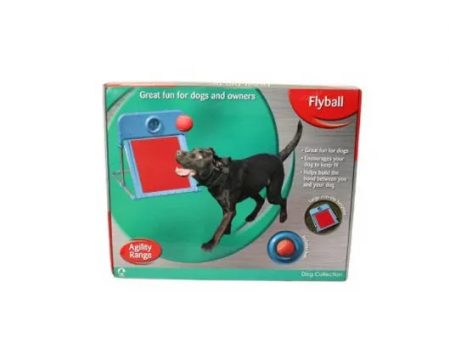 Agility Flyball Online