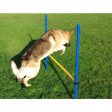 Agility Hurdle Jump Sale