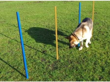 Agility Slalom Poles Pk5 Online now