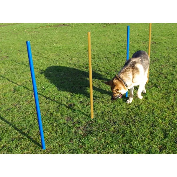 Agility Slalom Poles Pk5 Online now