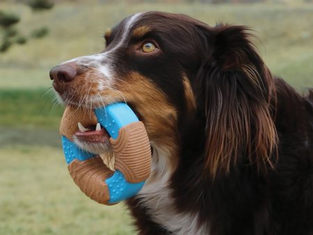 Kong Corestrength Bamboo Bone Discount